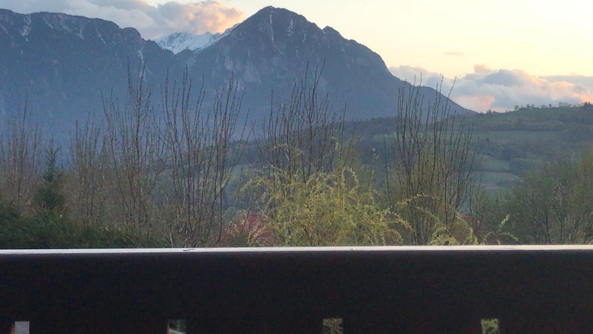 Pension Chalet Poiana Marului Ranch Kültér fotó